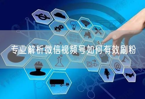 专业解析微信视频号如何有效刷粉