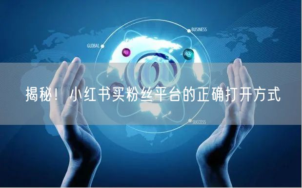 揭秘！小红书买粉丝平台的正确打开方式