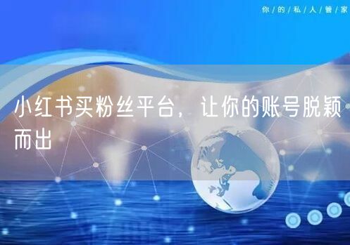 小红书买粉丝平台，让你的账号脱颖而出
