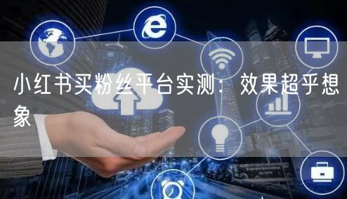 小红书买粉丝平台实测：效果超乎想象