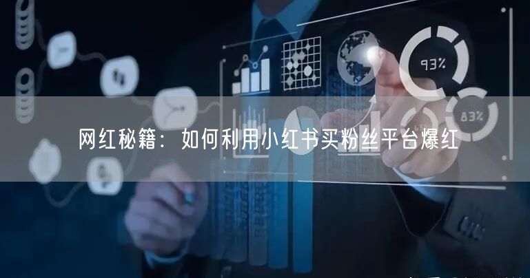 网红秘籍：如何利用小红书买粉丝平台爆红