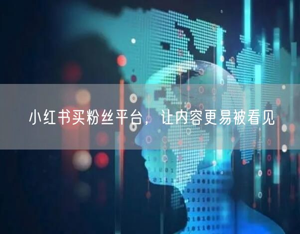 小红书买粉丝平台，让内容更易被看见