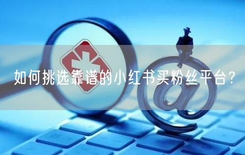 如何挑选靠谱的小红书买粉丝平台？