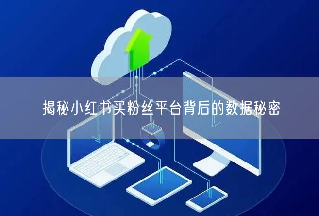 揭秘小红书买粉丝平台背后的数据秘密
