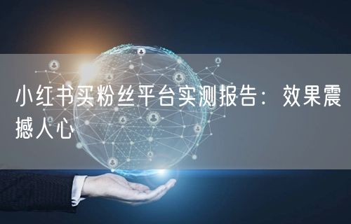 小红书买粉丝平台实测报告：效果震撼人心