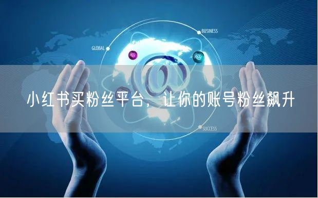 小红书买粉丝平台，让你的账号粉丝飙升