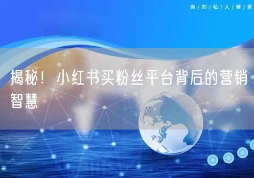 揭秘！小红书买粉丝平台背后的营销智慧