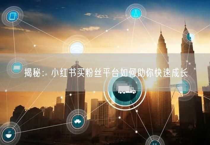 揭秘：小红书买粉丝平台如何助你快速成长