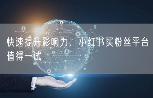 快速提升影响力，小红书买粉丝平台值得一试