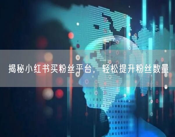 揭秘小红书买粉丝平台，轻松提升粉丝数量