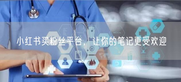 小红书买粉丝平台，让你的笔记更受欢迎