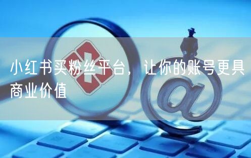 小红书买粉丝平台，让你的账号更具商业价值