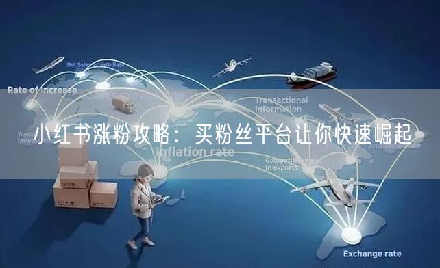 小红书涨粉攻略：买粉丝平台让你快速崛起