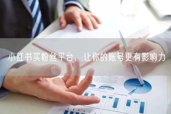 小红书买粉丝平台，让你的账号更有影响力