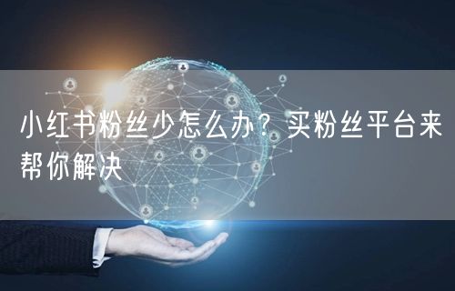 小红书粉丝少怎么办？买粉丝平台来帮你解决