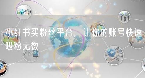 小红书买粉丝平台，让你的账号快速吸粉无数