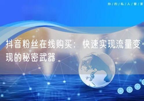 抖音粉丝在线购买：快速实现流量变现的秘密武器