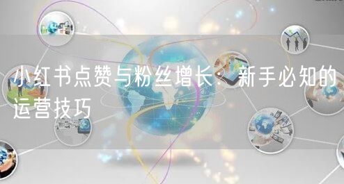 小红书点赞与粉丝增长：新手必知的运营技巧
