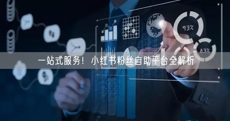 一站式服务！小红书粉丝自助平台全解析